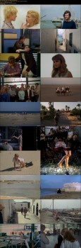 imagebam.com