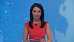 Obrázek