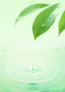 Вода, воздух и зелень / Water, Air and Greenery 31eaa01322862884