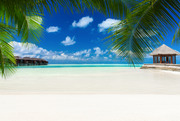 Тропический пляж на Мальдивах / Tropical beach in Maldives D958841322864658