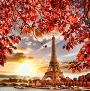 Эйфелева башня в осенних листьях / Eiffel Tower with autumn leaves in Paris 343ddd1322850014