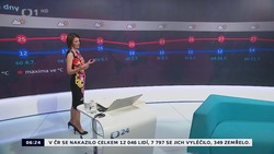 Obrázek