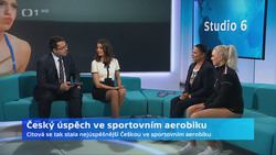 Obrázek
