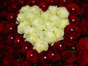 Цветы ко дню Валентина / Valentines flowers E932621352684451