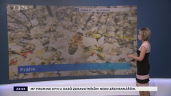 Obrázek