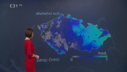 Obrázek