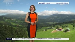 Obrázek