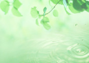Вода, воздух и зелень / Water, Air and Greenery 731d781322862869