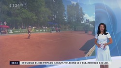 Obrázek