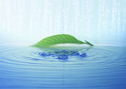 Вода, воздух и зелень / Water, Air and Greenery 1e69151322863080