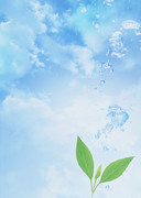 Вода, воздух и зелень / Water, Air and Greenery 0390b51322863073