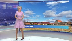 Obrázek