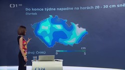 Obrázek