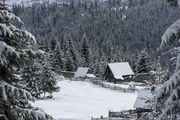 Зимний пейзаж / Winter landscape  1373d01352741641