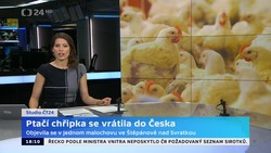 Obrázek