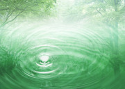 Вода, воздух и зелень / Water, Air and Greenery 1e0bdc1322863139