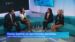 Obrázek