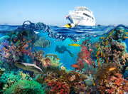 Тропические рыбы и коралловый риф / Tropical Fish and Coral Reef 51f4241322864772