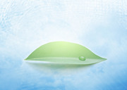 Вода, воздух и зелень / Water, Air and Greenery 10fb4c1322862936