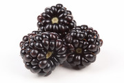 Спелые ягоды / Ripe berries  Dca1781352779696