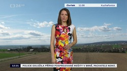 Obrázek