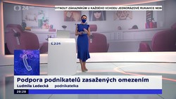 Obrázek