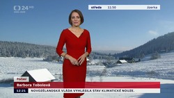 Obrázek