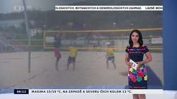 Obrázek