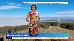 Obrázek