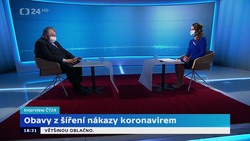 Obrázek