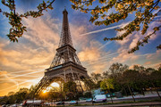 Эйфелева башня в осенних листьях / Eiffel Tower with autumn leaves in Paris D599c01322849912
