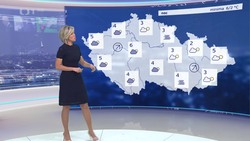 Obrázek