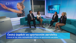Obrázek