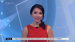 Obrázek