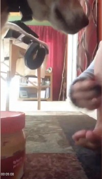 [Image: a3ca511344212570.jpg]