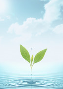 Вода, воздух и зелень / Water, Air and Greenery 21cc3b1322863076