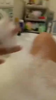 [Image: a1dcbd1356778719.jpg]