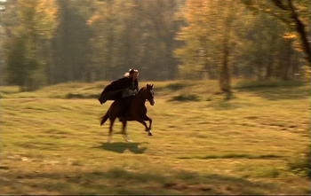 [Obrazek: 88cf431328035733.jpg]