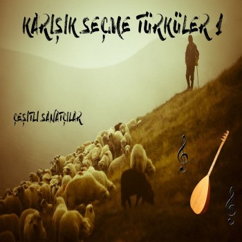 Çeşitli Sanatçılar - Karışık Seçme Türküler Vol.1 (2020) Full Albüm İndir Çeşitli Sanatçılar - Karışık Seçme Türküler Vol.1 (2020) Full Albüm İndir