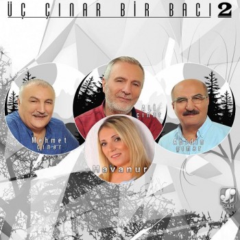 Çeşitli Sanatçılar - Üç Çınar Bir Bacı, Vol.2 (2019) Full Albüm İndir Çeşitli Sanatçılar - Üç Çınar Bir Bacı, Vol.2 (2019) Full Albüm İndir