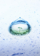 Вода, воздух и зелень / Water, Air and Greenery 6acd1e1322863083