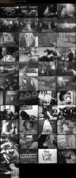 imagebam.com