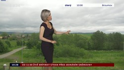 Obrázek