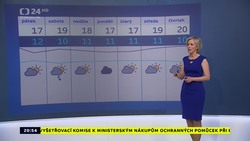 Obrázek