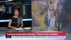 Obrázek