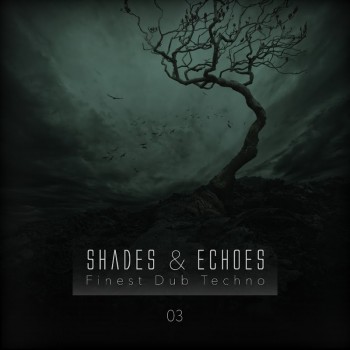 VA - Shades & Echoes - Finest Dub Techno Vol. 3 (2015) .mp3 -320 Kbps