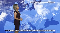 Obrázek