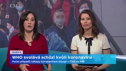 Obrázek