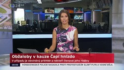 Obrázek