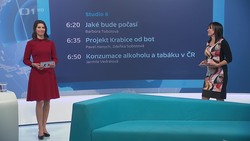 Obrázek